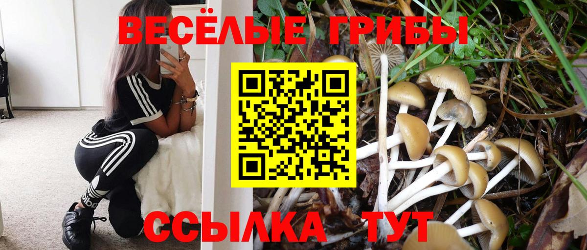 Галлюциногенные грибы Psilocybe  Вход с VPN  Псилоцибиновые грибы Psilocybine cubensis  Новороссийск 
