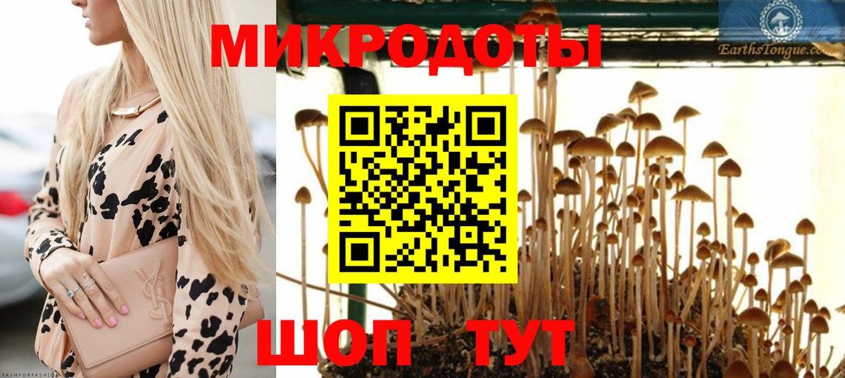 Псилоцибиновые грибы Magic Shrooms Новороссийск